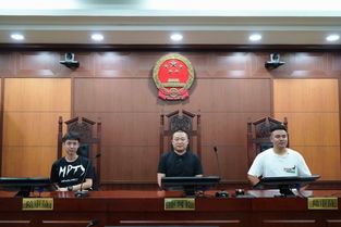 司法公开新窗口 第111次公众开放日，青岛联信商务咨询哈尔滨分公司走进南岗区法院